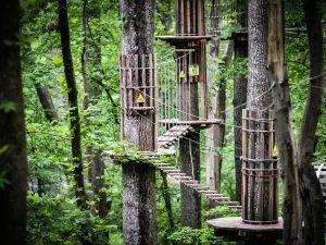 Adventure Park Near Rockville