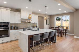 Kitchen with contemporary cabinets