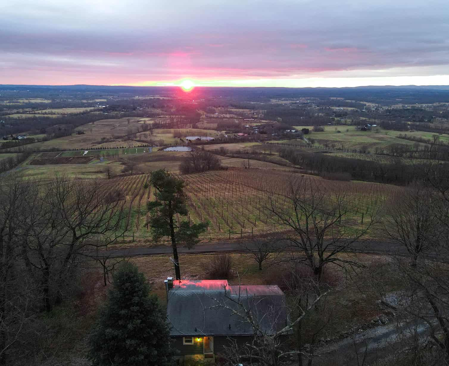 Bluemont Vineyards, Ashburn